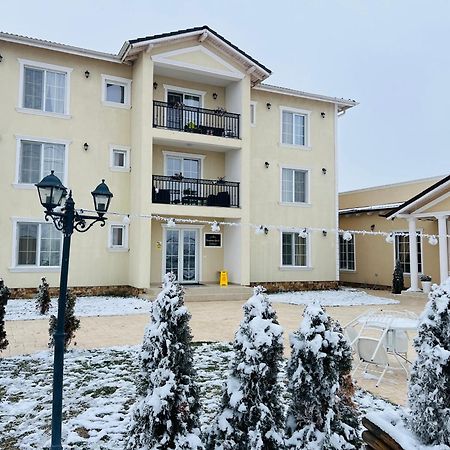 Pensiunea Queen Remetea Mare Ngoại thất bức ảnh
